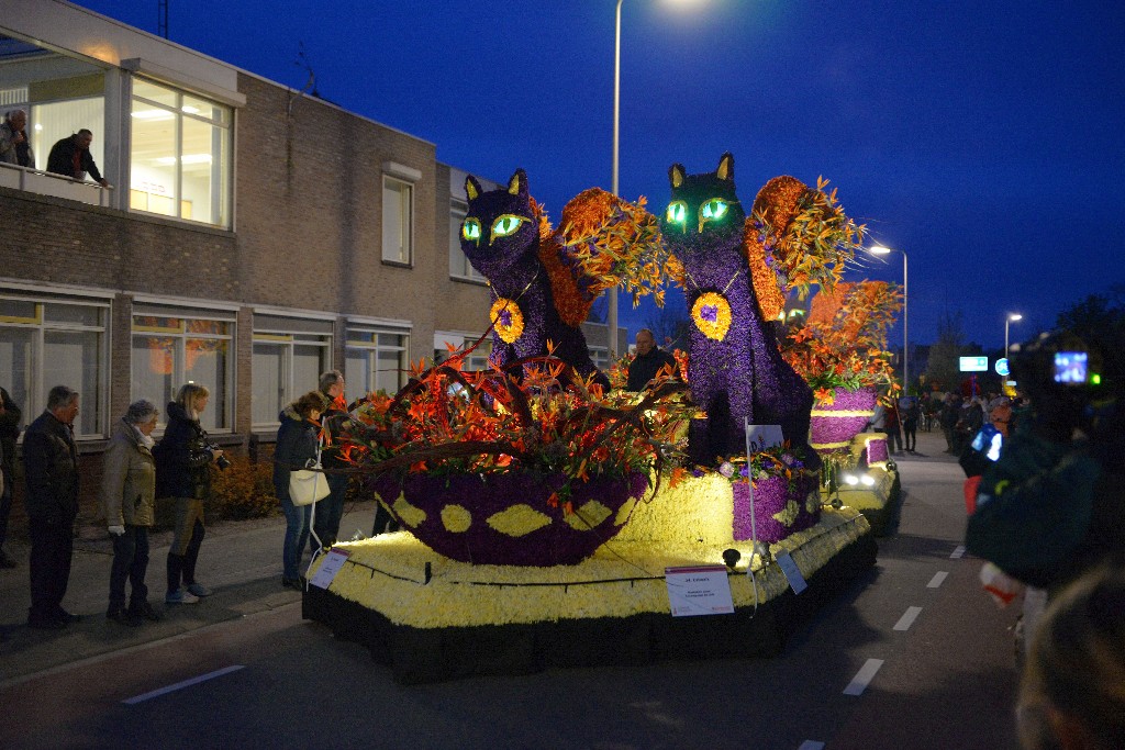 ../Images/Bloemencorso Noordwijkerhout 183.jpg